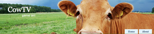 Description: Cow Televison Productions, � 2008